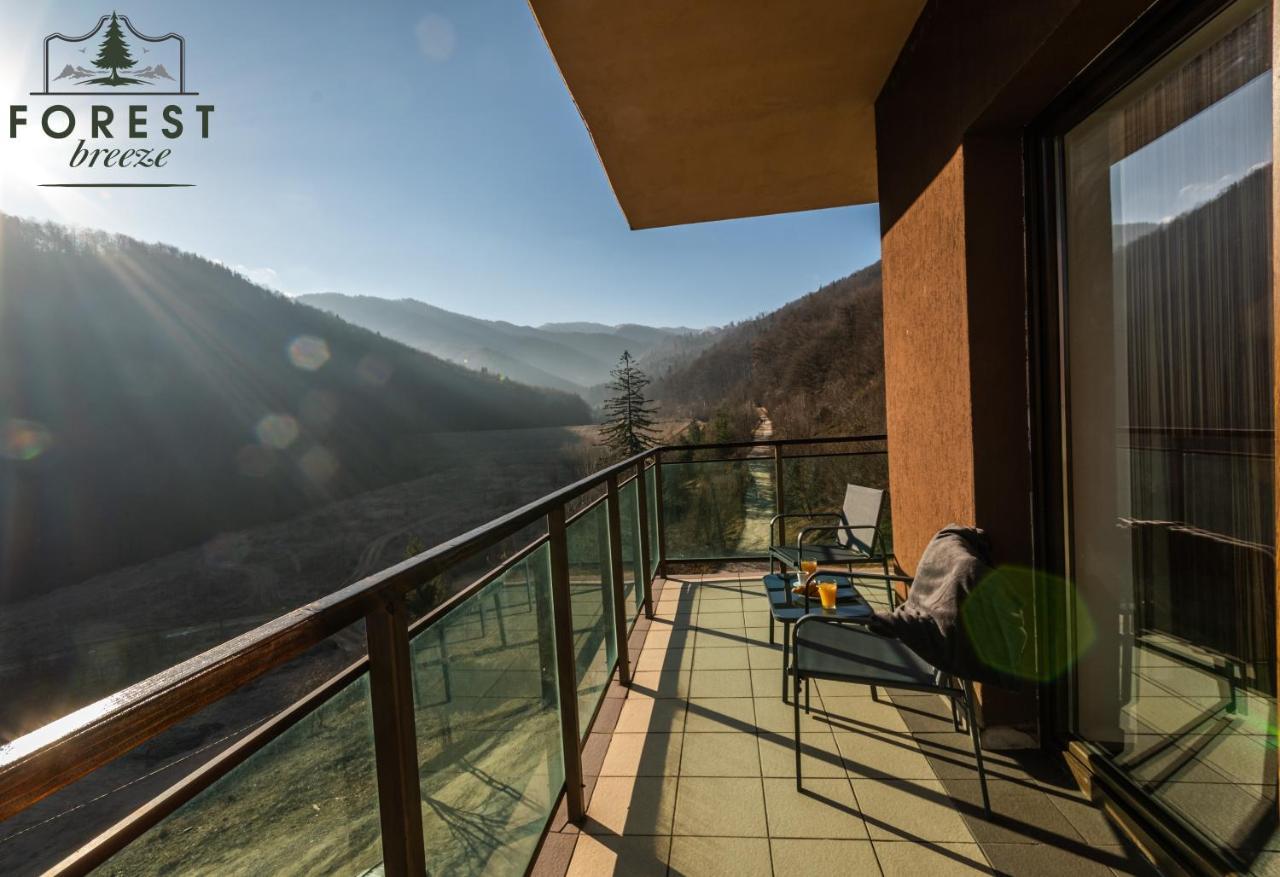 Forest Breeze Apartterrace Braşov Exterior foto