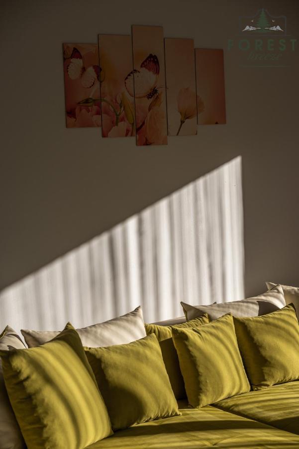 Forest Breeze Apartterrace Braşov Exterior foto