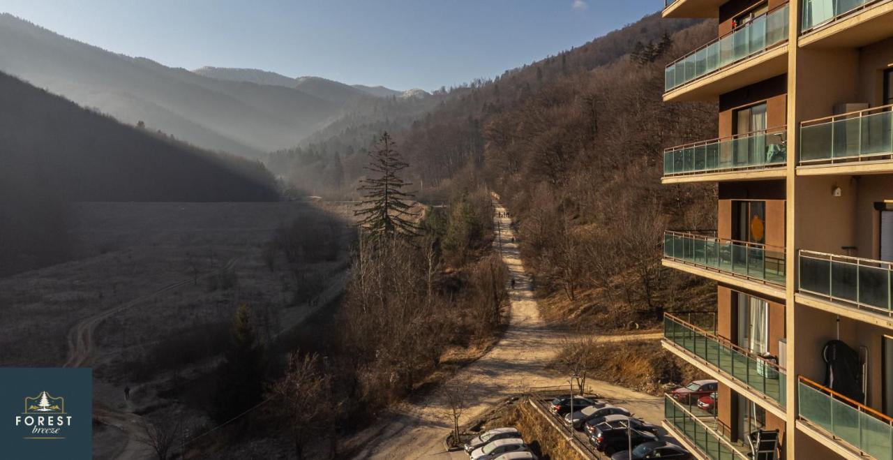 Forest Breeze Apartterrace Braşov Exterior foto