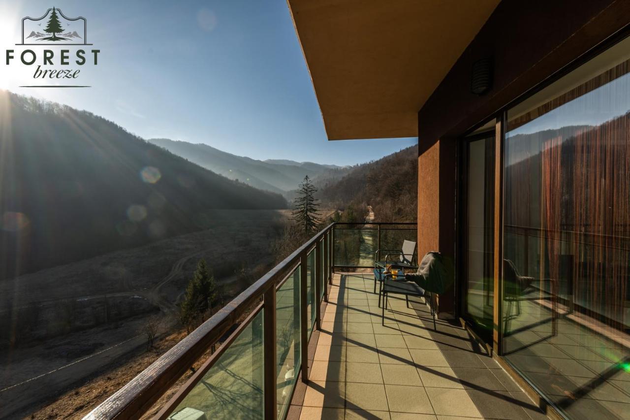 Forest Breeze Apartterrace Braşov Exterior foto