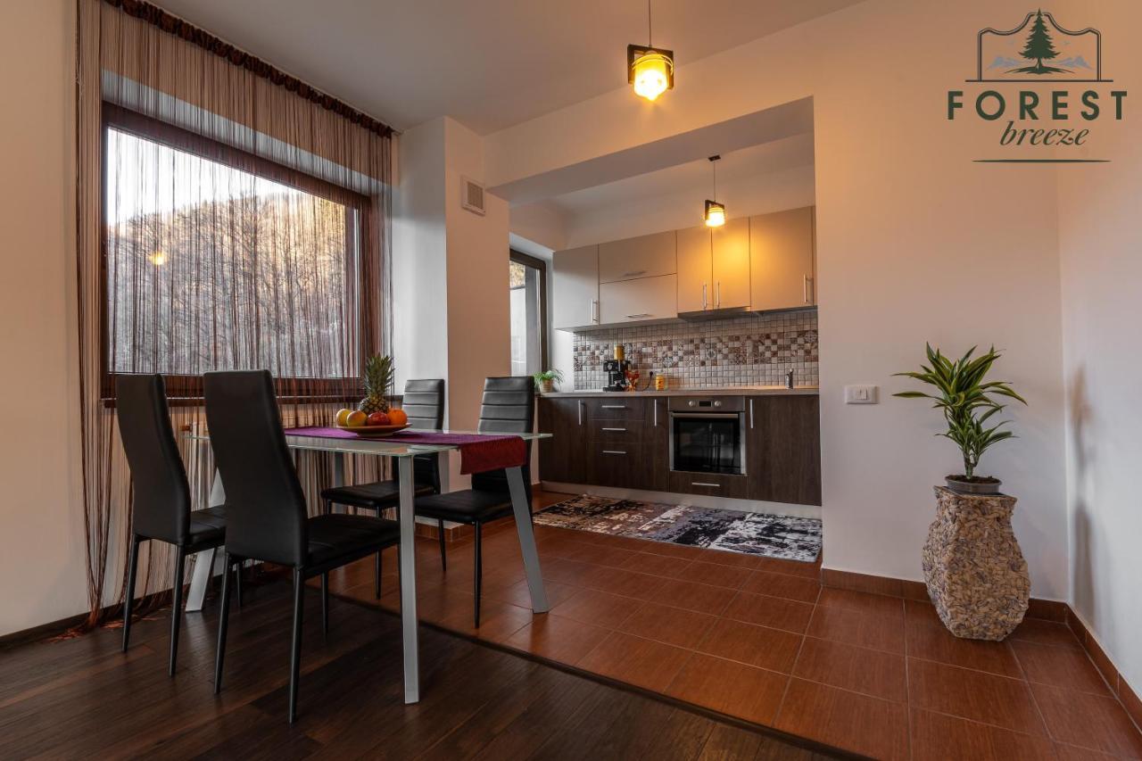 Forest Breeze Apartterrace Braşov Exterior foto