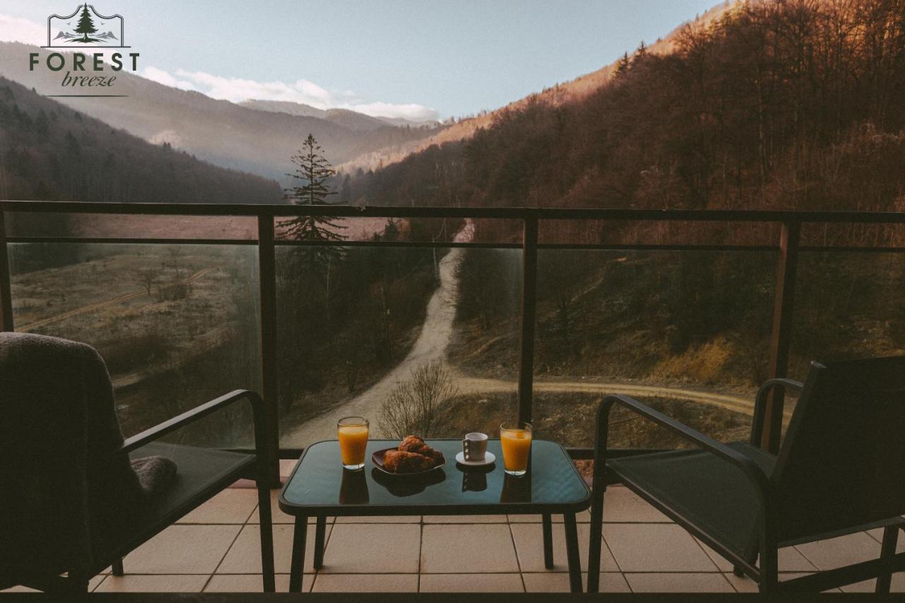 Forest Breeze Apartterrace Braşov Exterior foto