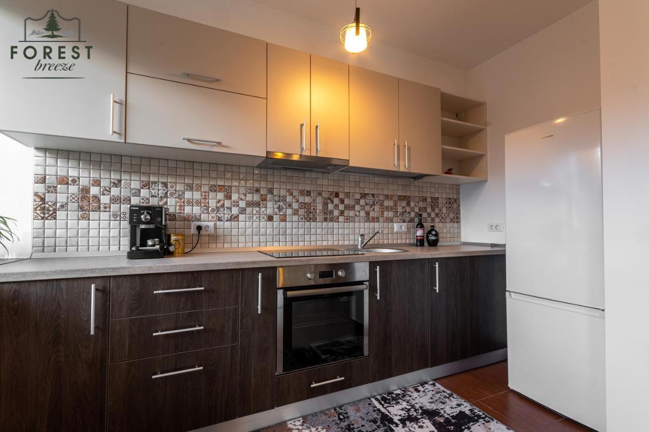 Forest Breeze Apartterrace Braşov Exterior foto