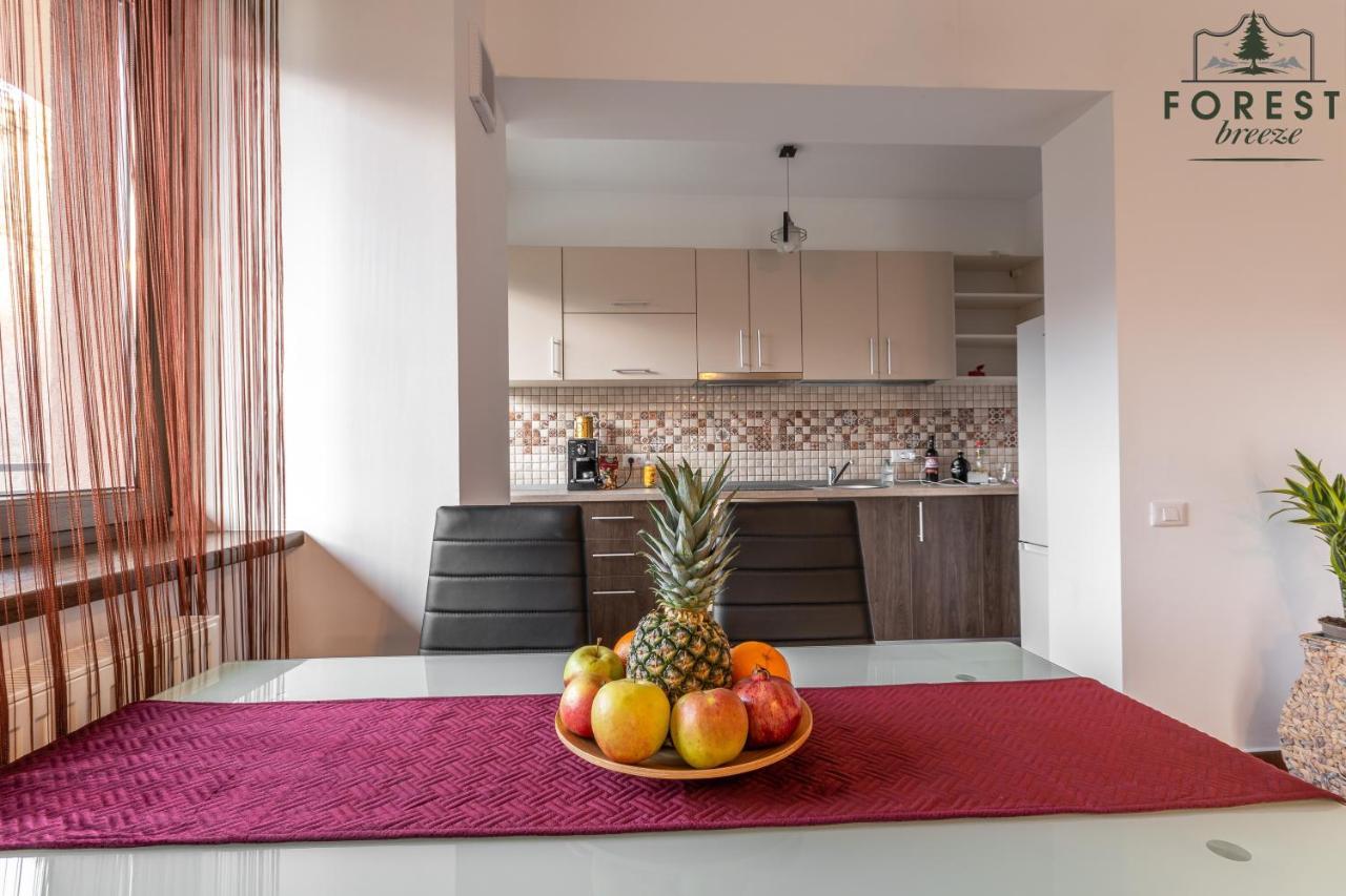 Forest Breeze Apartterrace Braşov Exterior foto