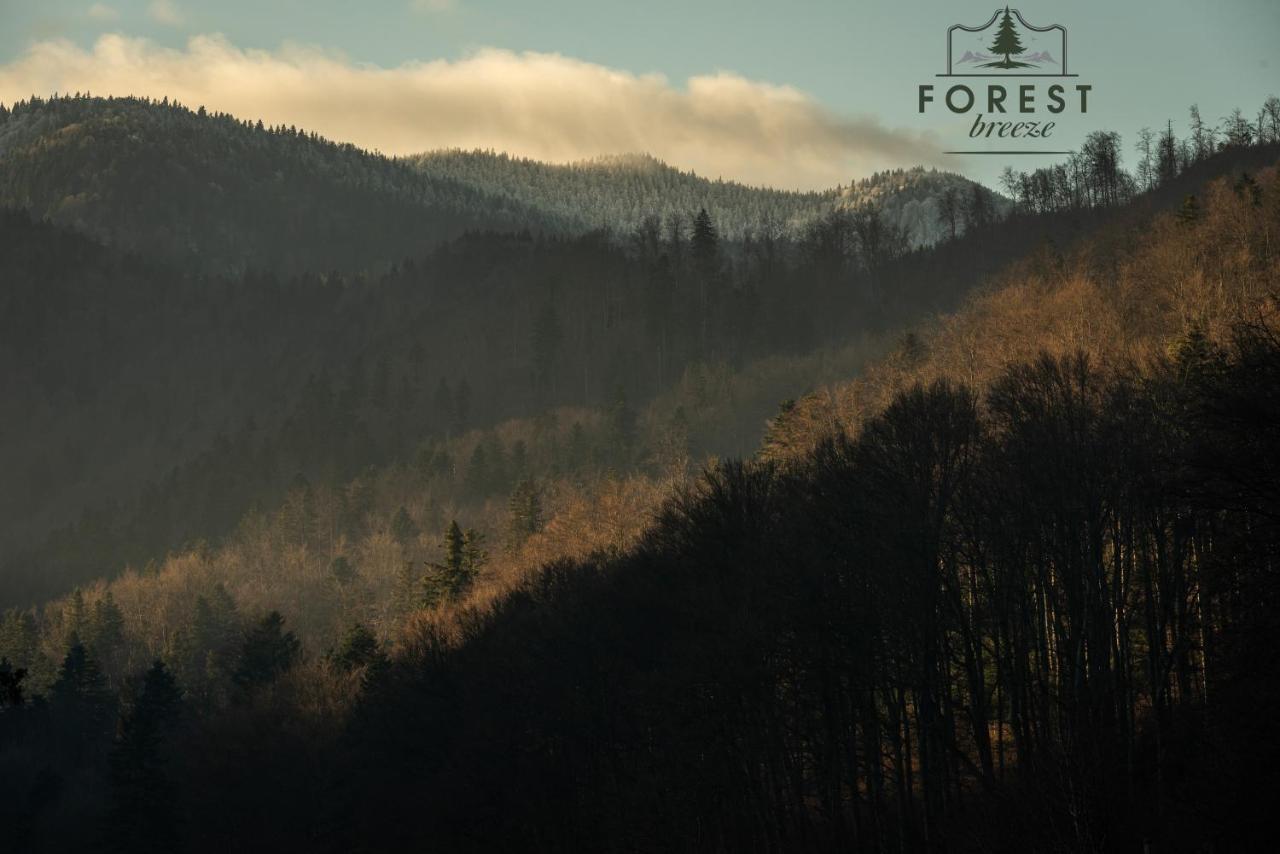 Forest Breeze Apartterrace Braşov Exterior foto
