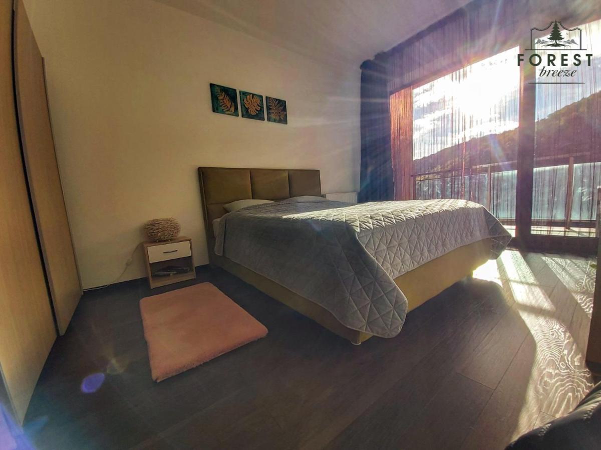 Forest Breeze Apartterrace Braşov Exterior foto